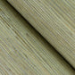 Shandong Sea Green Green Grasscloth Wallpaper