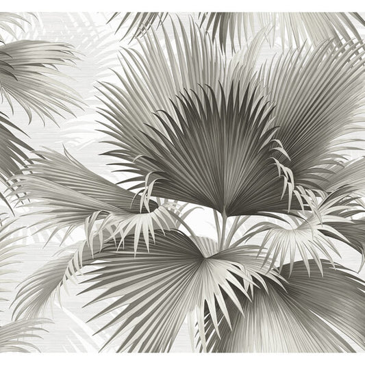Summer Palm Charcoal Tropical Wallpaper