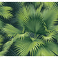 Summer Palm Dark Green Tropical Wallpaper