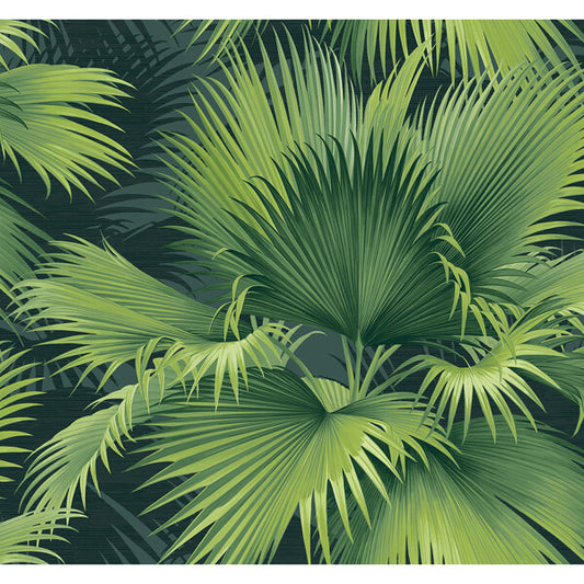 Summer Palm Dark Green Tropical Wallpaper