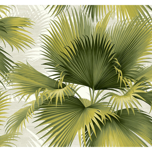 Summer Palm Green Tropical Wallpaper