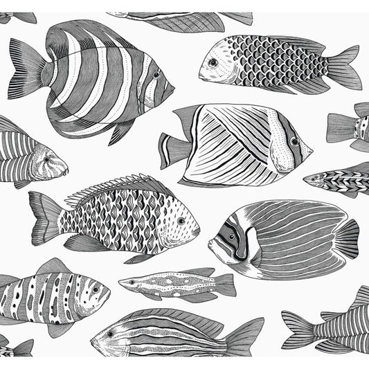 Wailea Black Tropical School Wallpaper