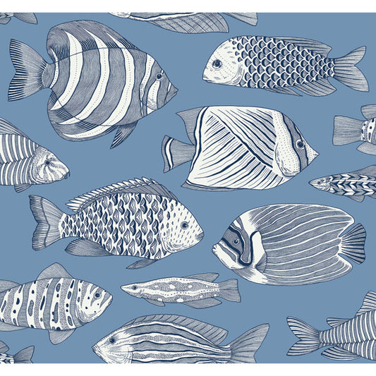 Wailea Sky Blue Tropical School Wallpaper