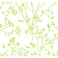 Southport Chartreuse Delicate Branches Wallpaper