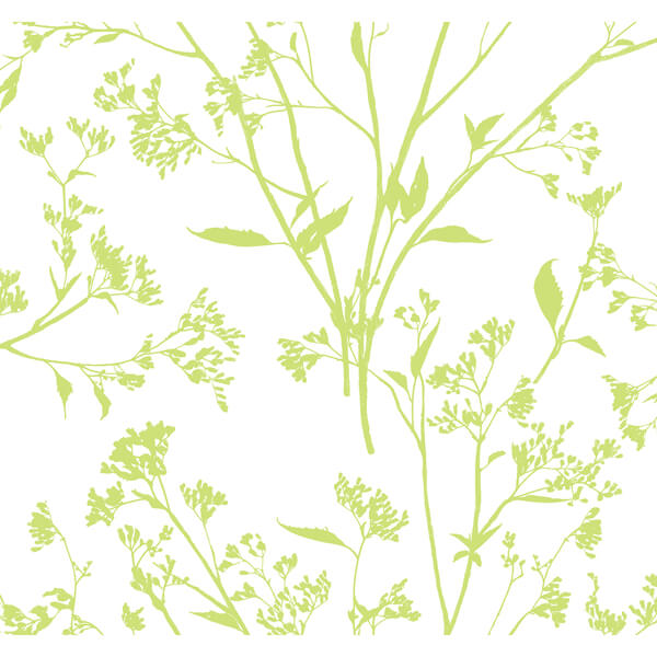 Southport Chartreuse Delicate Branches Wallpaper