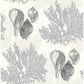 Nauset Black Seashell Shores Wallpaper