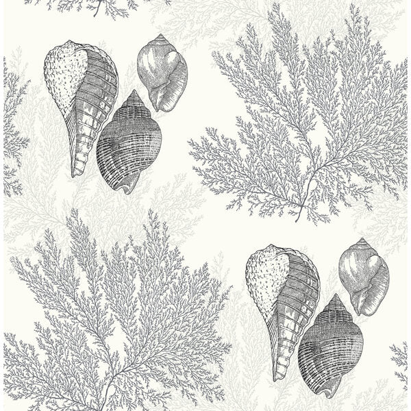 Nauset Black Seashell Shores Wallpaper