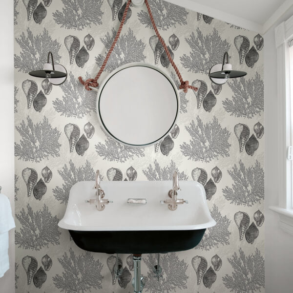 Nauset Black Seashell Shores Wallpaper
