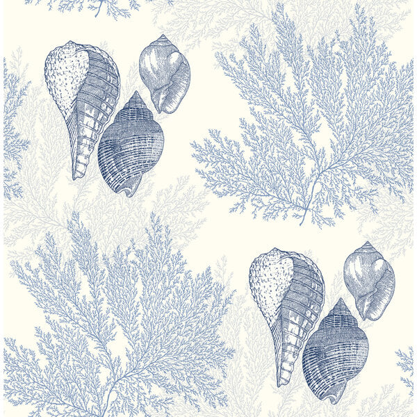 Nauset Blue Seashell Shores Wallpaper