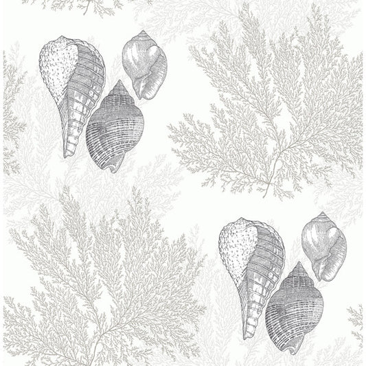 Nauset Cream Seashell Shores Wallpaper