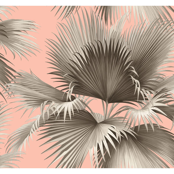 Summer Palm Blush Tropical Wallpaper