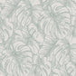 Balboa Olive Botanical Wallpaper