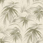 Darlana Sage Grasscloth Wallpaper