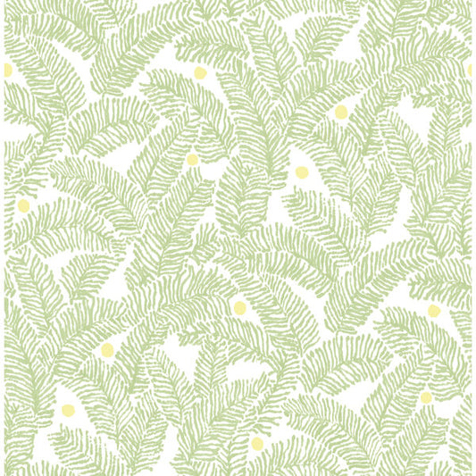 Athina Sage Fern Wallpaper