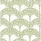 Dawson Green Magnolia Tree Wallpaper