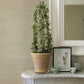 Hiromi Champagne Abaca Grasscloth Wallpaper