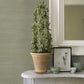 Battan Mint Jute Grasscloth Wallpaper