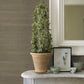 Battan Olive Jute Grasscloth Wallpaper