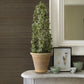 Mai Dark Grey Abaca Grasscloth Wallpaper