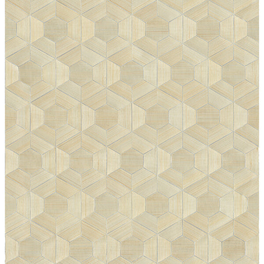 Linzhi Metallic Abaca Grasscloth Wallpaper