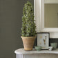 Caihon Green Sisal Grasscloth Wallpaper
