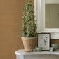 Aiko Orange Sisal Grasscloth Wallpaper