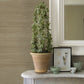 Sakiya Neutral Sisal Grasscloth Wallpaper