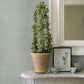 Yawen Green String Wallpaper