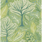 Kiah Green Forest Wallpaper