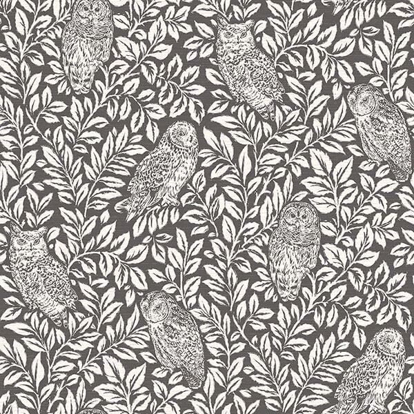 Parliament Brown Owl Wallpaper