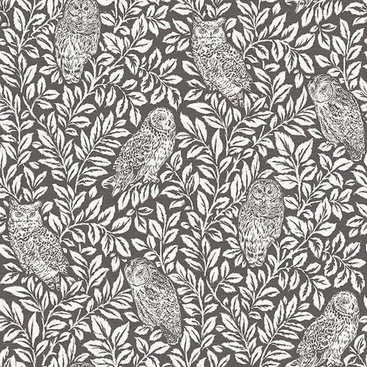 Parliament Brown Owl Wallpaper