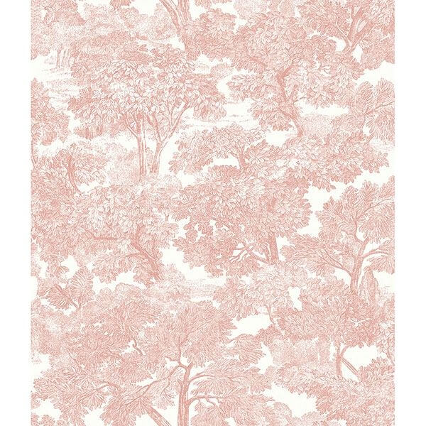 Spinney Rose Rose Toile Wallpaper