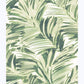 Chaparral Green Fronds Wallpaper