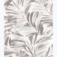 Chaparral Grey Fronds Wallpaper