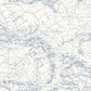 Charts Navy Map Wallpaper