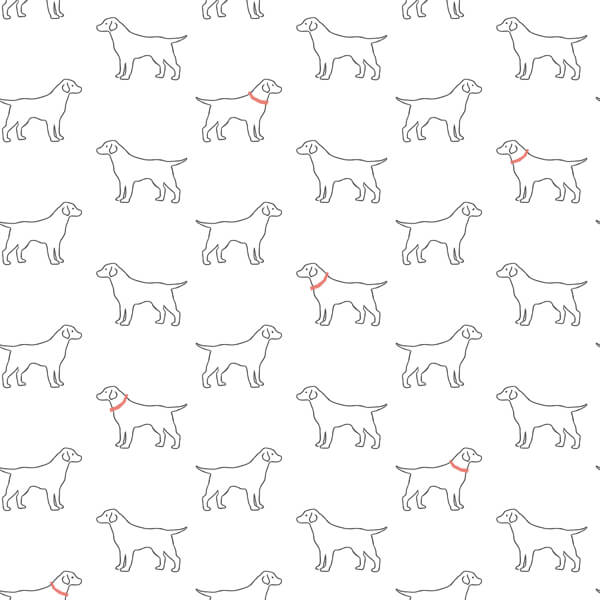 Yoop White Dog Wallpaper