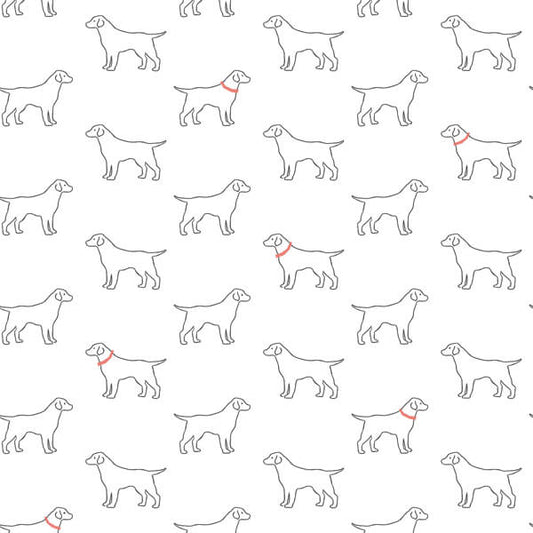 Yoop White Dog Wallpaper