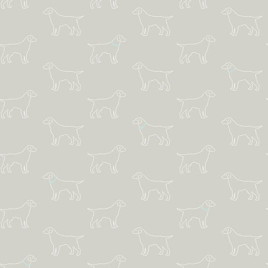 Yoop Grey Dog Wallpaper