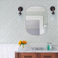 Nunkie Light Blue Sardine Wallpaper