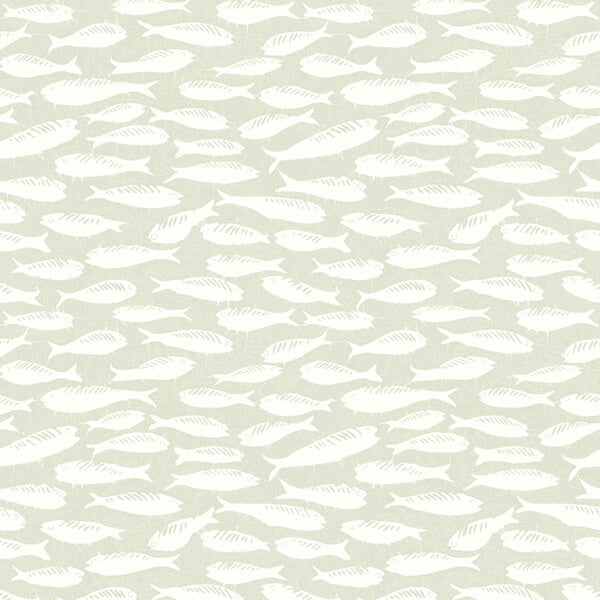 Nunkie Sage Sardine Wallpaper