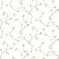 Kurt Cream Tin Star Trail Wallpaper