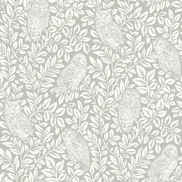 Parliament Grey Owl Wallpaper