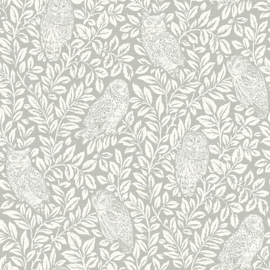 Parliament Grey Owl Wallpaper