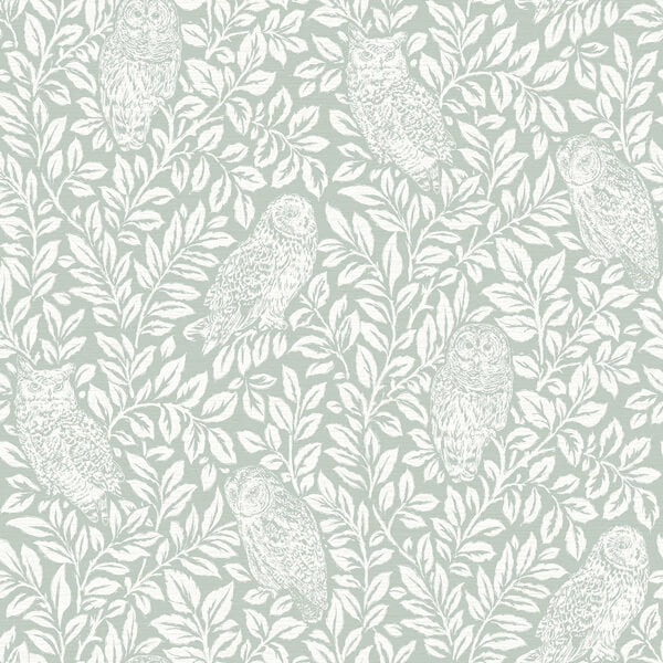 Parliament Seafoam Owl Wallpaper