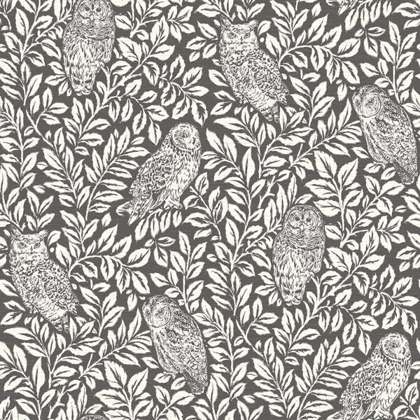 Parliament Charcoal Owl Wallpaper