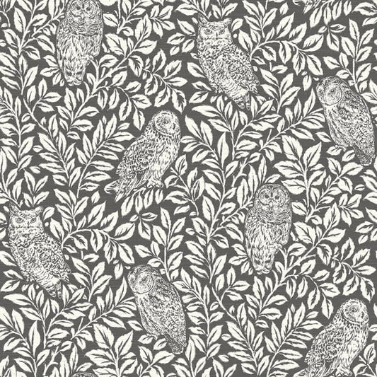 Parliament Charcoal Owl Wallpaper