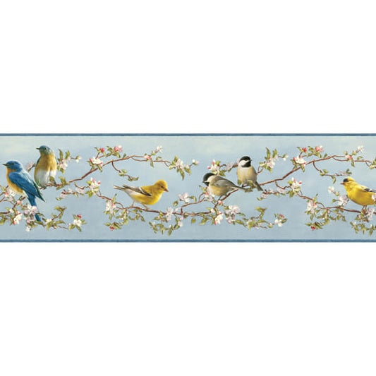 Songbird Sky Blue Trail Wallpaper