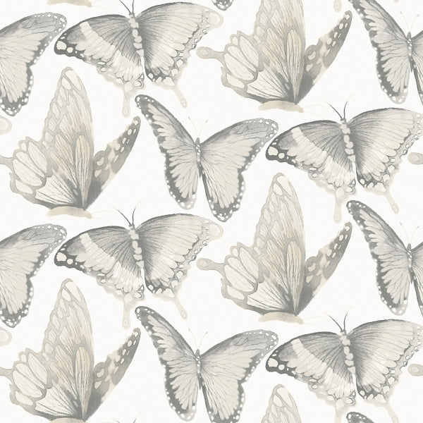 Janetta Grey Butterfly Wallpaper