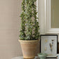 Spinnaker Peach Netting Wallpaper