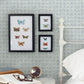 Button Block Blue Geometric Wallpaper